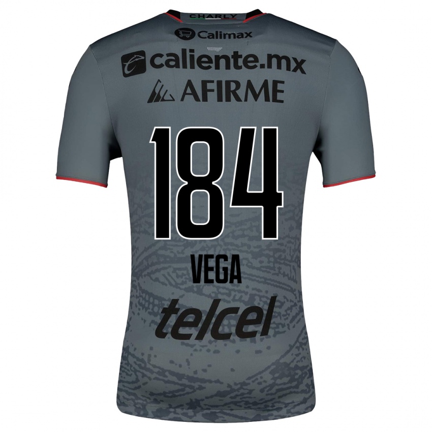 Hombre Camiseta Daniel Vega #184 Gris 2ª Equipación 2023/24 La Camisa Argentina