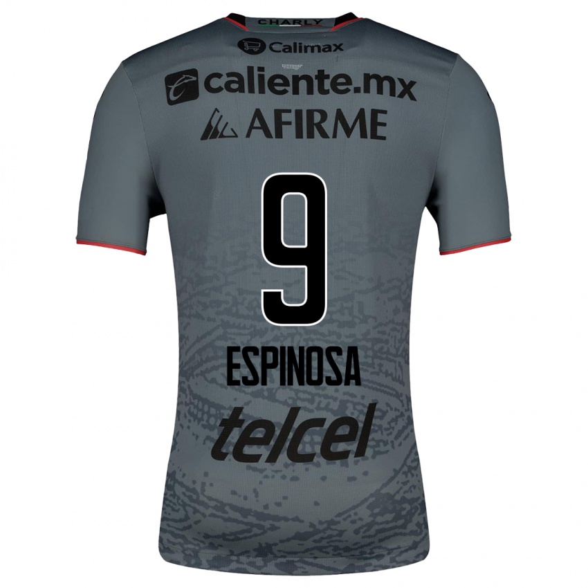 Hombre Camiseta Daniela Espinosa #9 Gris 2ª Equipación 2023/24 La Camisa Argentina